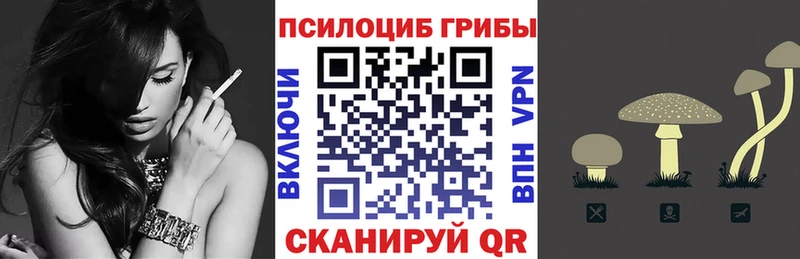 KRAKEN как зайти  Электрогорск  Галлюциногенные грибы Magic Shrooms  где найти  
